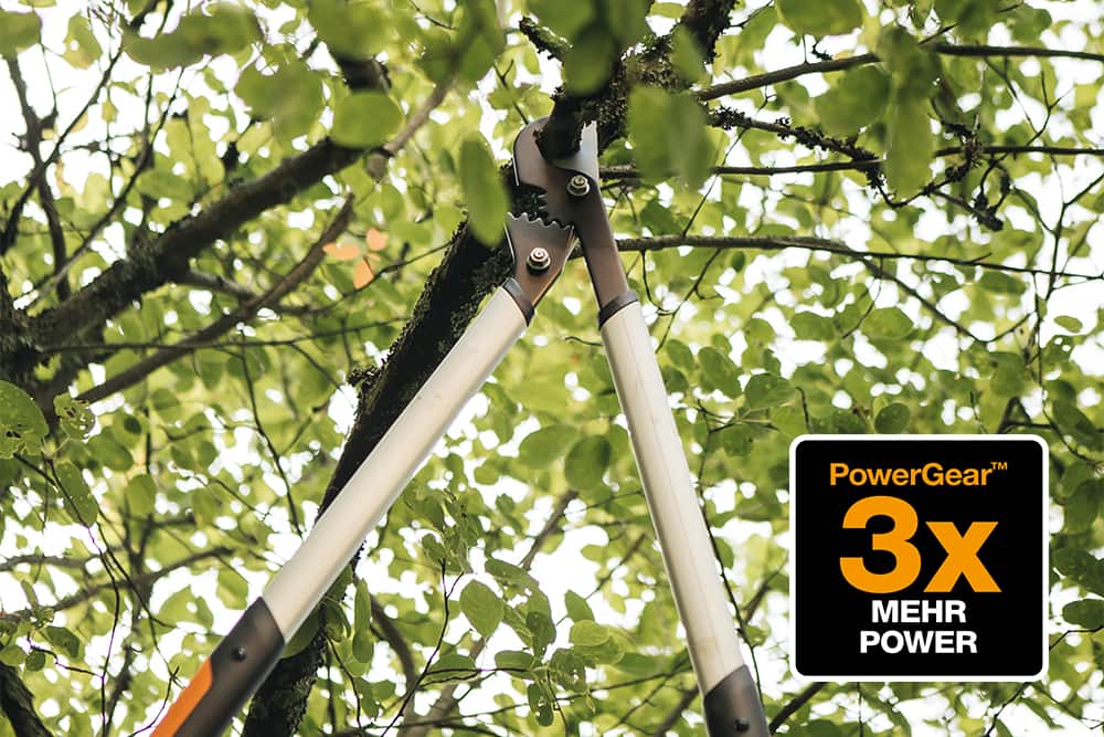 Astschere schneidet einen Ast